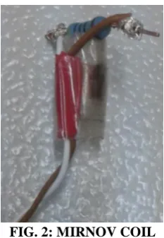 FIG. 2: MIRNOV COIL 