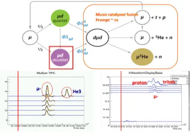 Figure 4. direct detection of muon capture on impurities such as N2 and O2