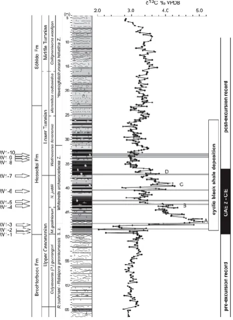 Fig. 2. Stratigraphy of the Wunstorf core used for the study andδ13Ccarb (from Voigt et al., 2008a)