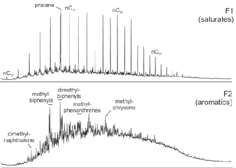 Fig. 10. Total ion chromatograms (TICs) of the saturate and aro-matic fraction of the BS sample W1-9
