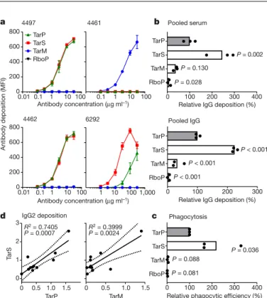 Fig. 1 | TarP-modified WTA is recognized by human IgG antibodies  that induce phagocytosis