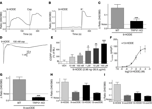 Figure 3Oxidized linoleic acid metabolites are TRPV1 agonists. (the effects of applying linoleic acid metabolites (all 100 with TRPV1 (A and B) Synthetic 9-HODE (100 μM) activates TG neurons from WT mice but not from TRPV1 KO mice as measured using calcium