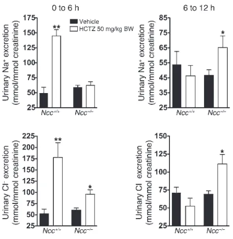 Figure 4Effects of HCTZ on urinary excretion of Na