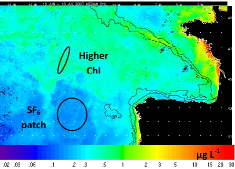 Fig. 1.  (MODIS Aqua) over the duration of the cruise (16 June–16 JulyFigure 1   Sampling areas overlaid on a composite chlorophyll a image2007).