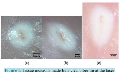 Figure 1. Tissue incisions made by a clear fiber tip at the laser output power of 3 W (а), 4 W (b), and 7 W (c)