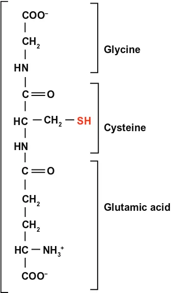 Figure 3 Glutathione: a very efficient antioxidant.Abbreviation: GSSG, glutathione disulfide.