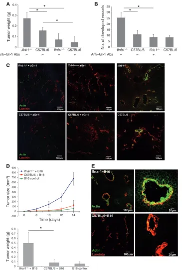 Figure 4Essential role of IFN-Histology shows representative pictures. At least 20 fields of view were analyzed