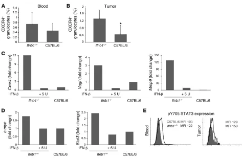 Figure 5Altered characteristics of CD11b+Gr1+ neutrophils isolated from Ifnb1–/– mice