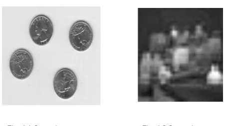 Fig. 4.2 Secret image  