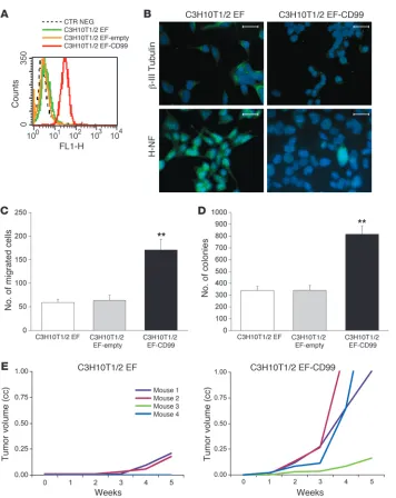 Figure 5Analysis of CD99 activity in the absence 