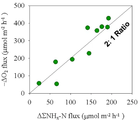 Fig. 7.and O2 ﬂux rates in thesame core after pH was elevated from 7.8 to 9.5. Data from BuddsLanding site are the changes of ﬂux rates between control cores andcores at the pH of 9.2 and 9.5 after 7 days incubation