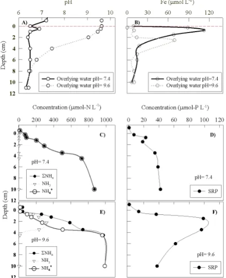 Fig. 1.Figure 1. Powerline porewater profiles in the upper 10 cm of sediment under high pH (9.6) and normal pH (7.4) treatments, including vertical changes of pH (A), porewater Fe (B), SRP (D,F), and  ∑NHx (C,E)