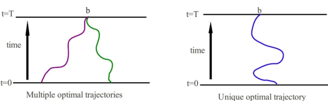 Figure 1.5: Optimal trajectories for path-wise constrained system