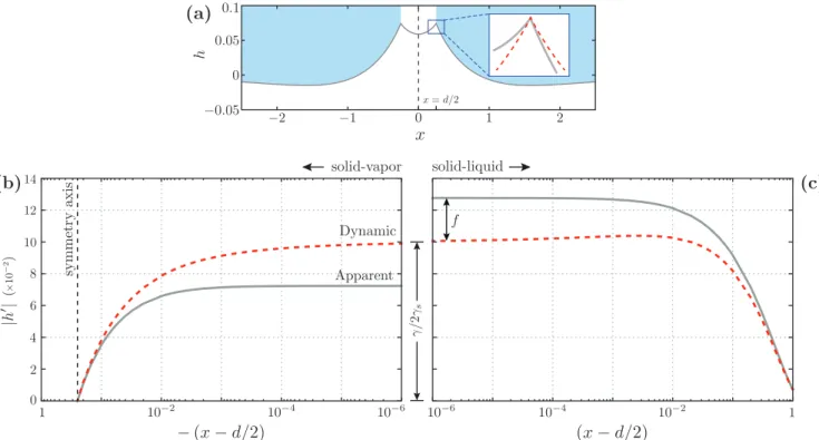 FIG. 5. (a) Resultant deformation in the localized-force model, obtained by superimposing two static profiles (d = 1/2, for α = 1/5 and α s = 1)