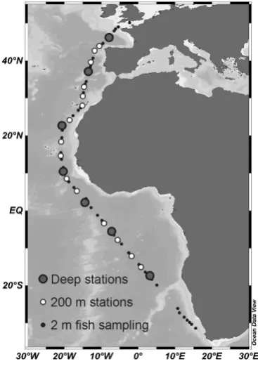 Fig. 1. Map of the sampling locations on the cruise ANT-XXV/1 ofRV Polarstern.