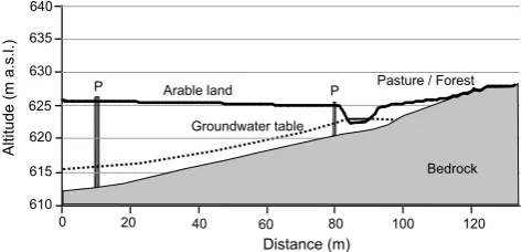 Fig. 7. Schematic view of the groundwater table and bedrock atsite B with the installed piezometers (P).