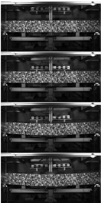 Figure 9 presents a selection of representative frames of