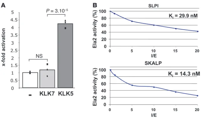 Figure 2KLK5, SLPI, and SKALP regulate ELA2 activity. and SKALP toward ELA2. ELA2 was incubat-ed with increased concentrations of inhibitors