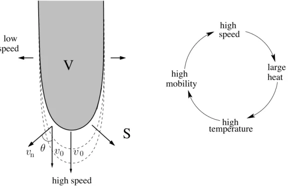Figure 2.2: Scheme of the model that we propose: a ﬁnger-shaped domain of vortices (V) penetrating in a superconducting state (S) is characterised by a relatively high speed and mobility at the tip and low speed and mobility on the side
