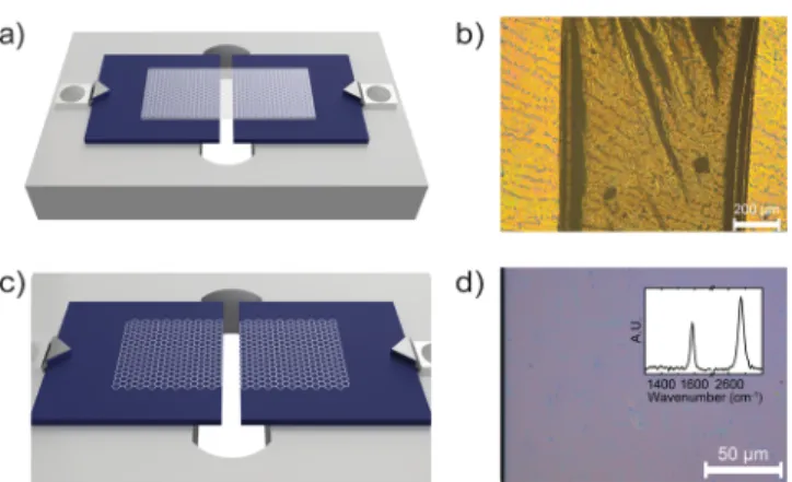 Figure 2. Fabrication of graphene edge electrodes. (a) Schematic illustration of a graphene layer protected by a polymer coating (white shading covering the graphene) bridging the gap between two Si/SiO 2 wafer halves mounted over the slit of a holder