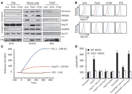 Figure 5Hsp72 is expressed at the surface of TDEs and bound on TLR2. (A) Endogenous TLR2 ligand expression was investigated by immunoblots in 