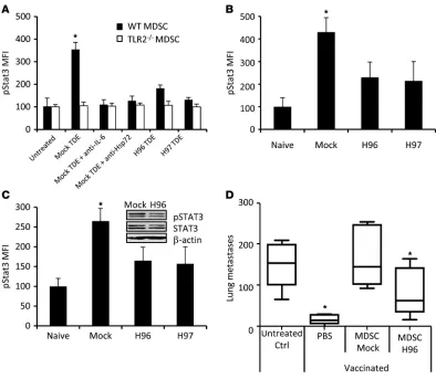 Figure 6pStat3 expression in MDSCs is dependent on Hsp72 on TDEs. (