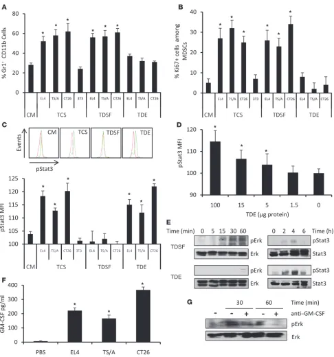 Figure 1TDEs determine STAT3 activation, while TDSFs determine MDSC expansion. Bone marrow from naive mice was cultured 3 days in complete 