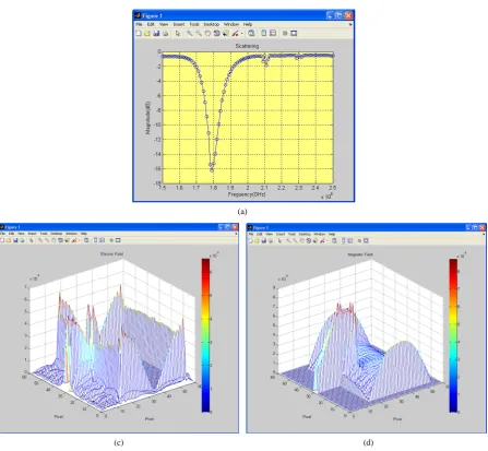 Figure 8. Display windows. (a) Scattering parameter (S11) window; (b) E-Field display; (c) H-Field display