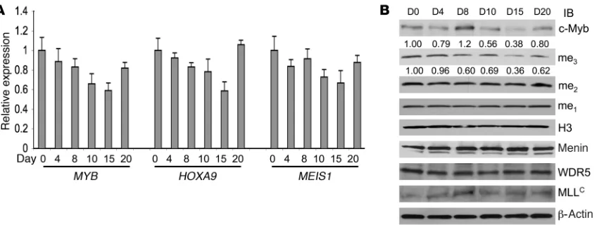 Figure 8Treatment of AML patient no. 866 with 