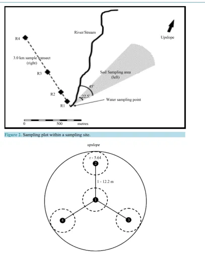 Figure 2. Sampling plot within a sampling site.                                                              