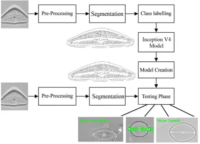 Fig. 2. Overall Process of Proposed Method