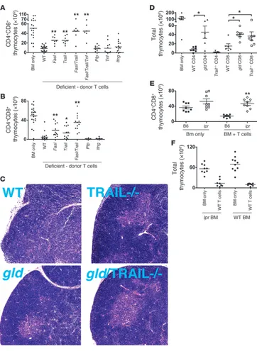 Figure 3Alloreactive T cells require FasL and TRAIL to mediate tGVHD. (