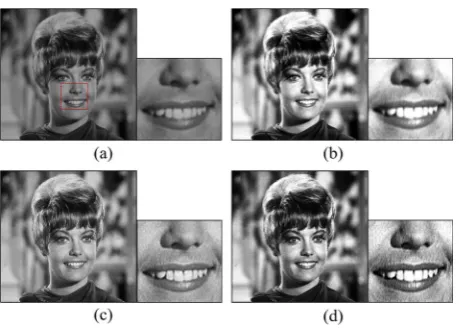Figure 7. Results on the Zelda image. (a) Original image; (b) Results of histogram equalization; (c) Results of three-Gaussian function model; (d) Results of the proposed method (adaptive three-Gaussian function model)