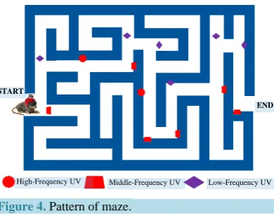 Figure 4. Pattern of maze. 