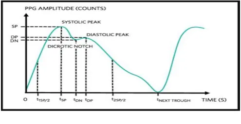 Fig 2. PPG signal [3] From the PPG signals, parameters like pulse rate (PR), 
