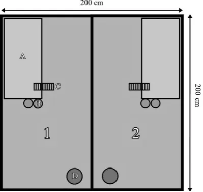 Figure 2. Experimental apparatus used in this study. Above: Experimental area arrangement in ha-bituation sessions 1 - 10 (before manipulation)