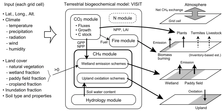 Fig. 1. Schematic diagram of process used to evaluate the terrestrial CH4 budget using the VISIT model.