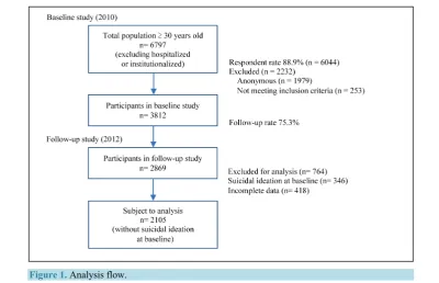Figure 1. Analysis flow. 