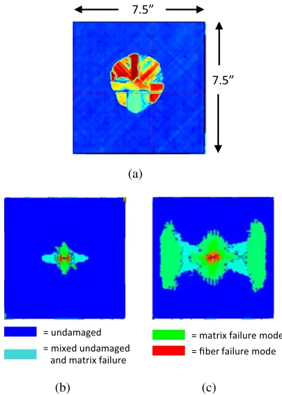 Figure 3. Damage patterns in (a) ultrasound data, (b) strain-basedand, (c) stress-based predictions (Mesh 1) for 506 m/s impact.
