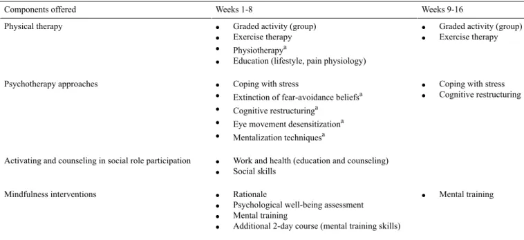 Table 1.  Overview of program components offered during the first and second halves of the regular multidisciplinary rehabilitation program.