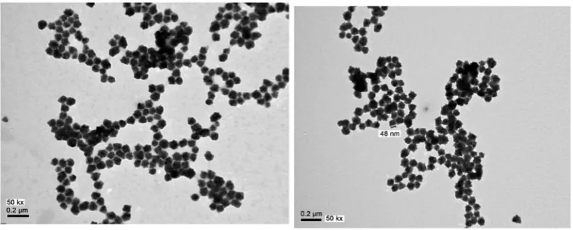 Figure 4. The plots of (αhν)1/2 versus hυfor PEO blend loaded by 2.5 and 5 Wt% of CdS