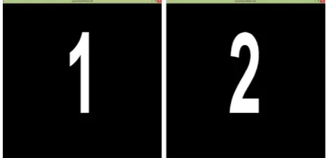 Fig. 1 The visual cues used during the experiment