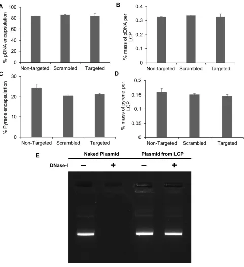 Figure 5 Encapsulation and loading efﬁciency of (A, B) plasmid and (C, D) pyrene. (E) The ability of LCP to protect loaded plasmid from DNAase degradation