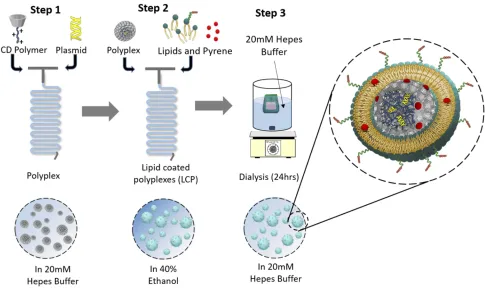 Figure 1 A schematic representation of LCP formulation steps. Step 1: cationic CDpyrene from the formulation