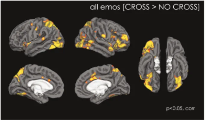 Fig. 1. Map of activation showing the effect of having a fixation cross in the eye region during the perception of dynamic emotional stimuli, with all conditions (NEUTRAL, HAPPY, ANGRY and FEAR) combined