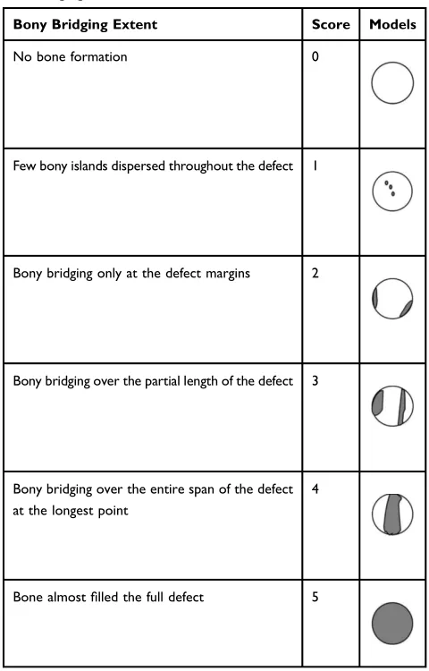 Table 2 Modiﬁed Scoring Guides for the Extent of Bony Unionand Bridging