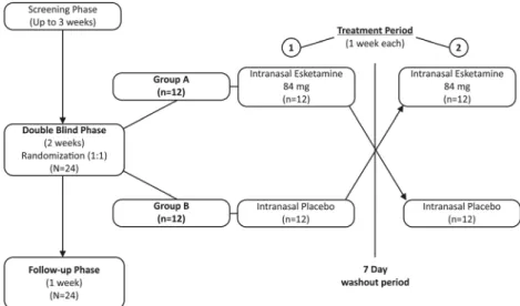 Fig. 1 Study design and participant flow