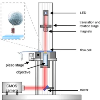 Figure 2.2: Setup of the custom built Magnetic Tweezers. A LED illuminates the sample and diffracted light is collected by the objective