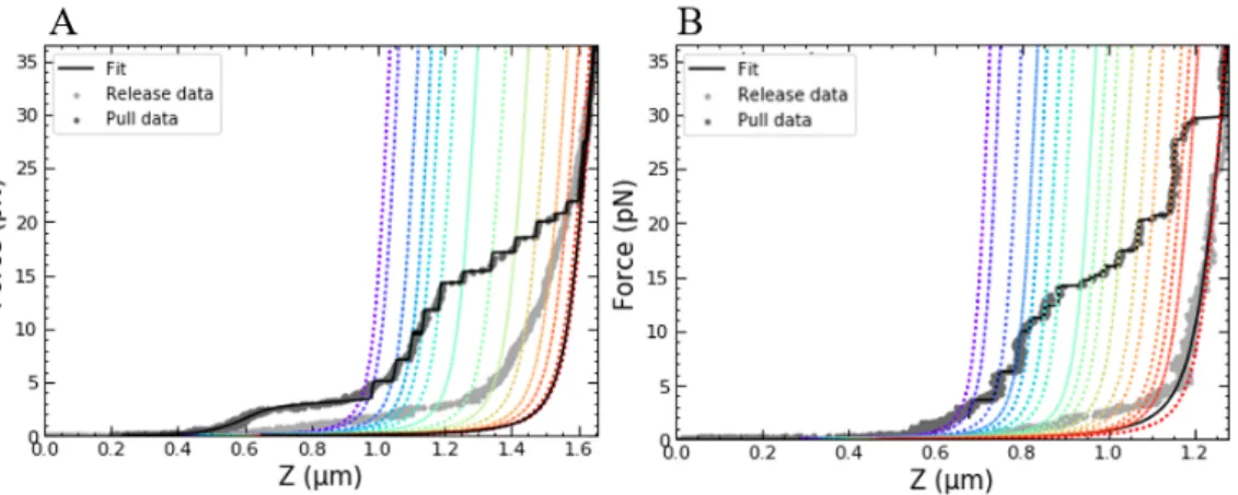 Figure 4.5: Force-extension curves of chromatin without (A) and with (B) H1 are qualitatively similar at forces above 10pN, but show different behaviour at forces below 10pN
