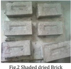 Fig.2 Shaded dried Brick 